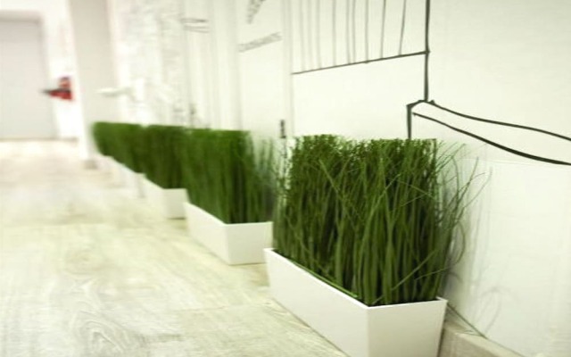 Smart Holidays Roma B&B