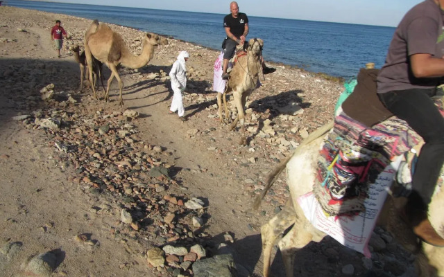 La Reine Dahab Hotel