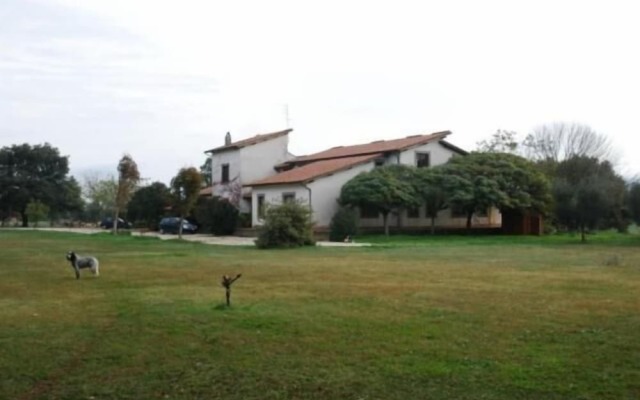 Bicoca - Nuova Fattoria