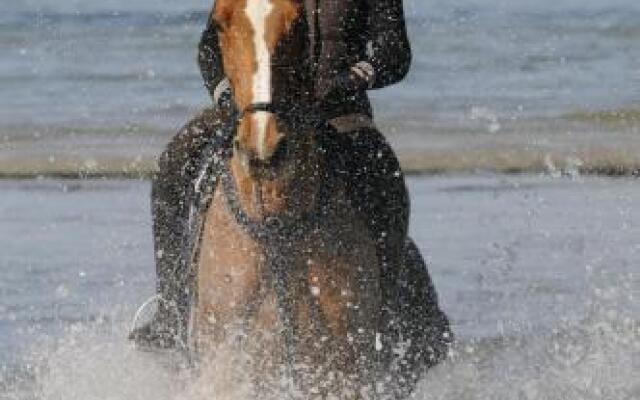 Reitanlage Plath
