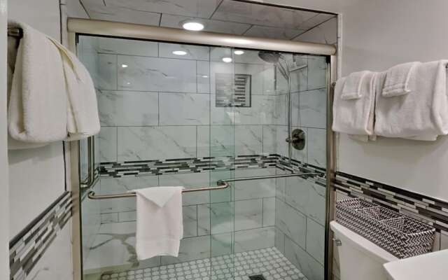 Driftwood Towers #1F - Palm View