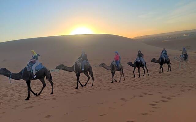 Desert Family Luxury Camp
