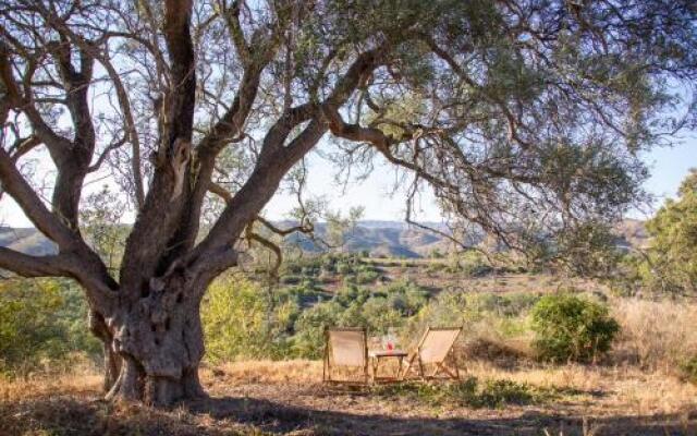 Monte Oliva Turismo Rural