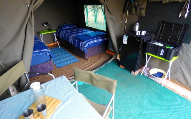 Thorn Tree Bush Camp