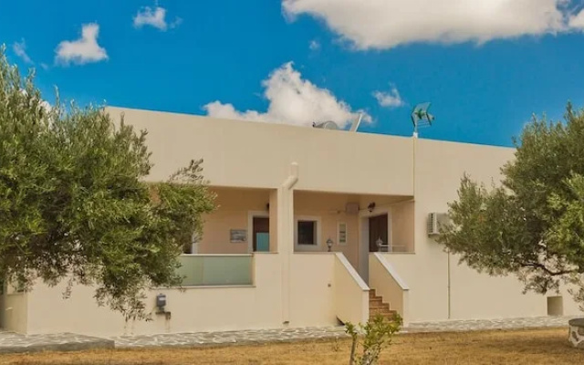 Olive Studios