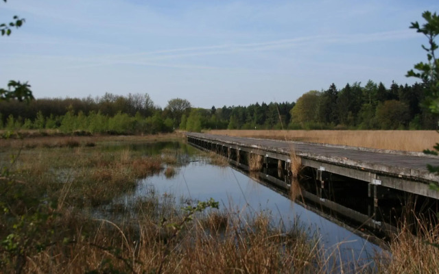 Vakantiehuis NamaStee