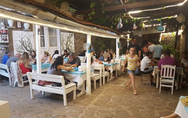 Assos Dr No Pansiyon