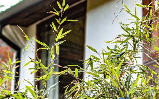 Xipu Boutique Hostel