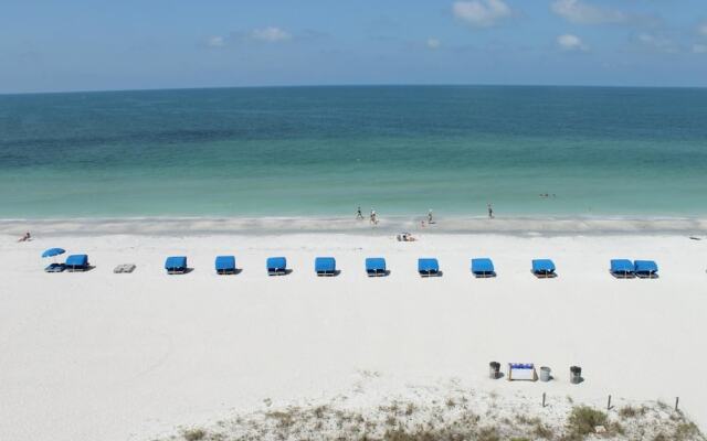 Beach Palms 505