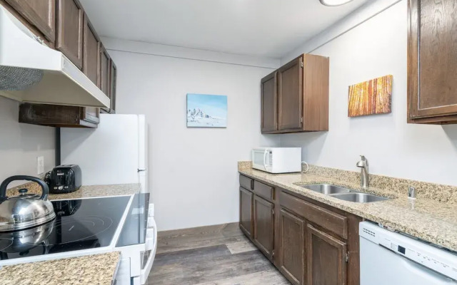 Mountainside Inn 313 1 Bedroom Condo by Alpine Lodging Telluride