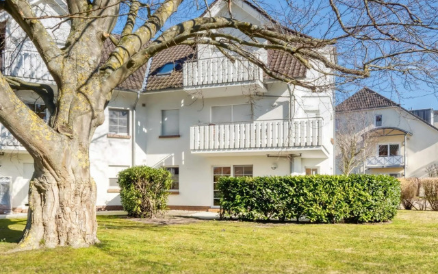 An der alten Rotbuche 02