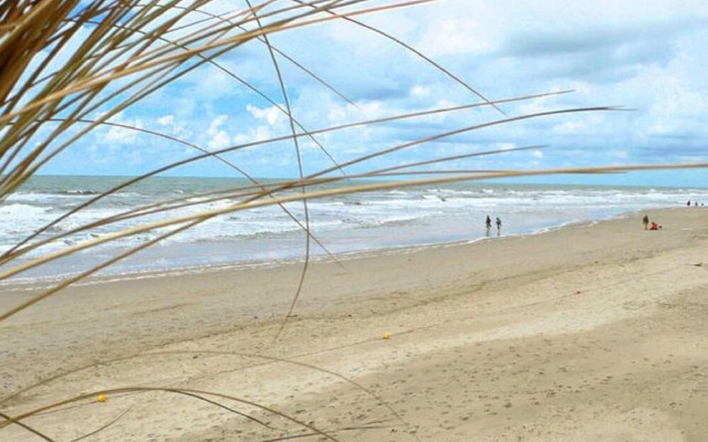 Cozy Apartment in Callantsoog near Beach
