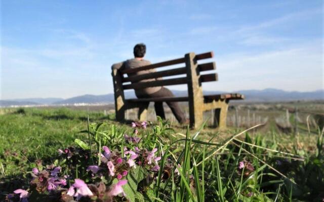 Zum Rebberg Ferienwohnungen