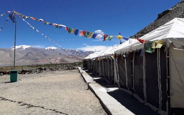 TIH The Norling Camp - Pangong
