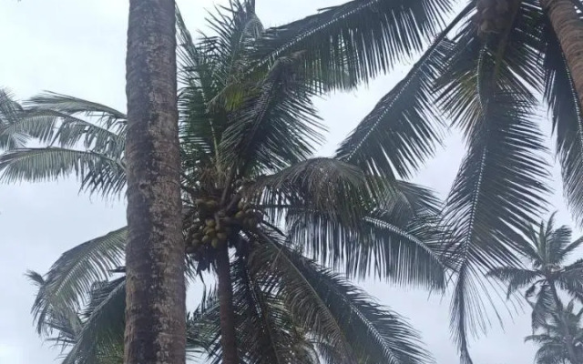 Goroomgo Om Ganesh Naik Cliff Side Guest House Goa