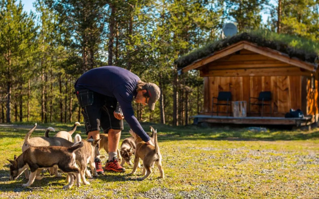 Jotunheimen Husky Lodge