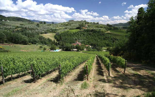 Podere Vignola