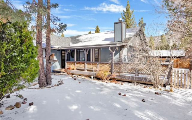 Blue Bear Lodge #2486