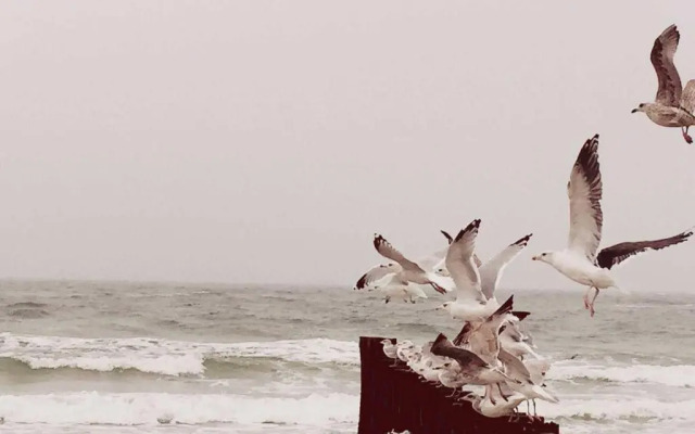 BERNSTEIN Penth Nr 34 max 3 Pers