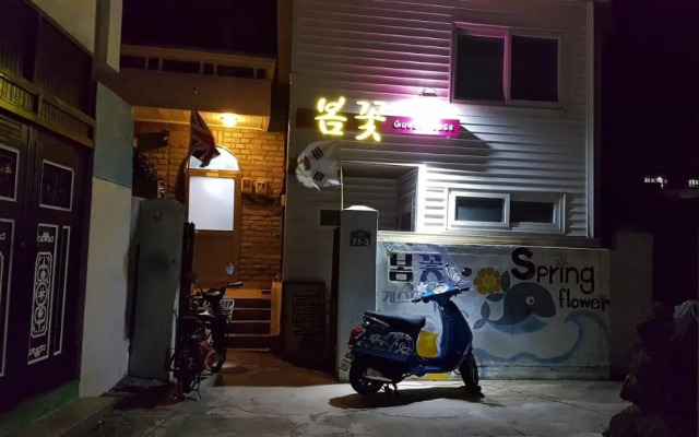 Springflower Guesthouse - Hostel