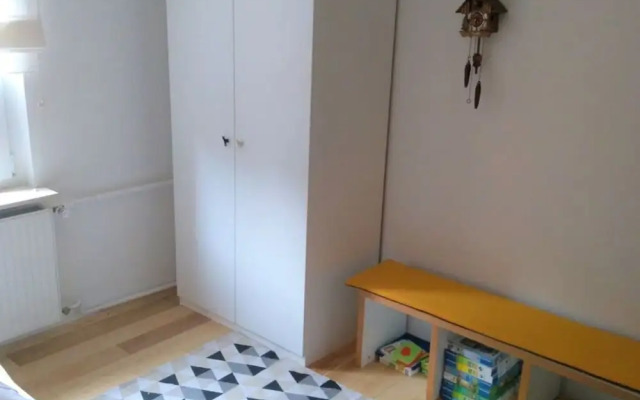 Pine Cones in the Haslehaus