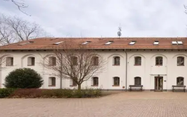 Vadkert Major