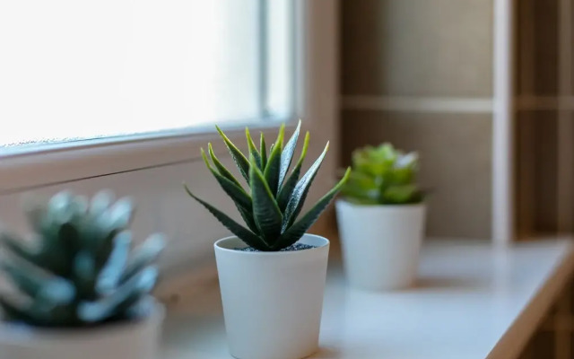 The Douglas - Donnini Apartments