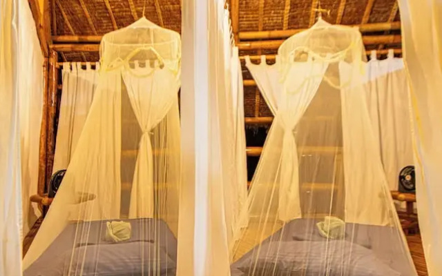 Water To Forest Ecolodge