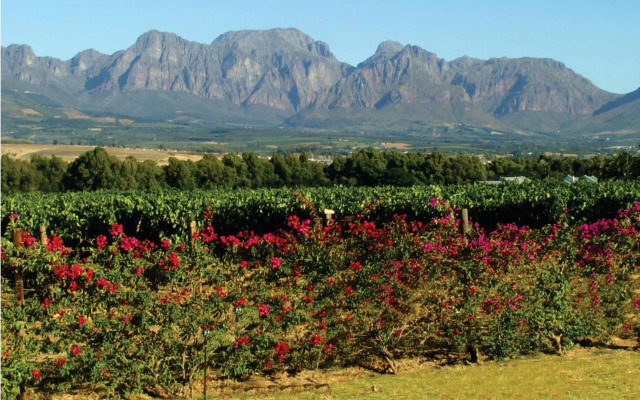 CANA Vineyard Guesthouse