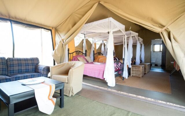 Serengeti Wildebeest Camp