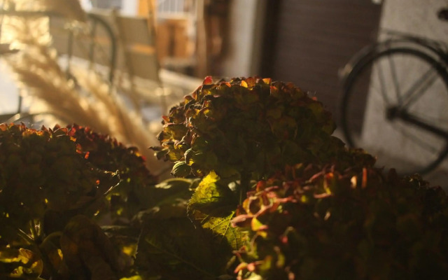 zuHause mit Berg-und BodenSeesicht