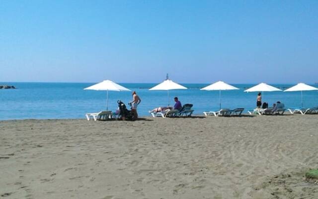 Athenaeum Beachside Studio