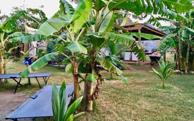 Camp Utila Village - Hostel