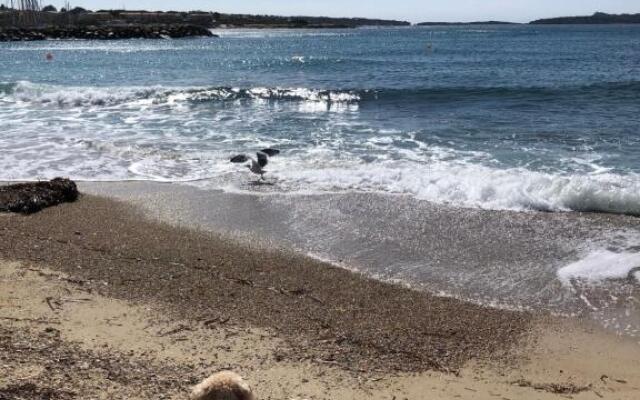 Charmant T2 la Palmeraie St Cyr Sur Mer (Adults Only)