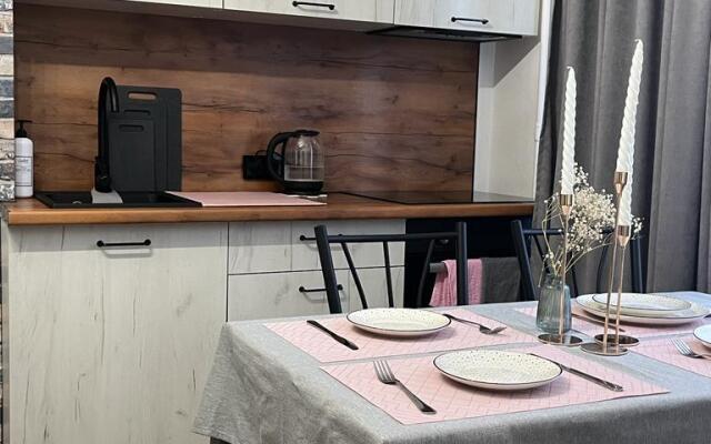 Daris apartment on Druzhby Street 21