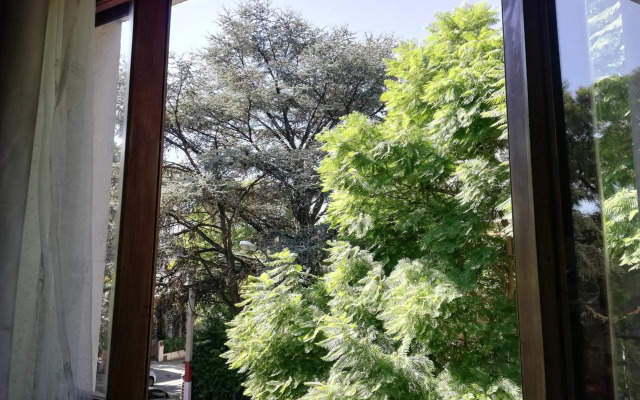 Private Room in Beautiful Home