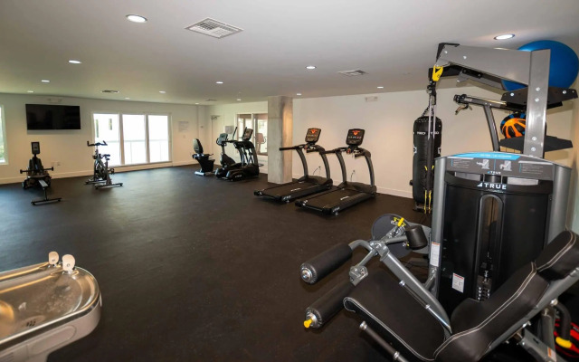 The Avalon Club