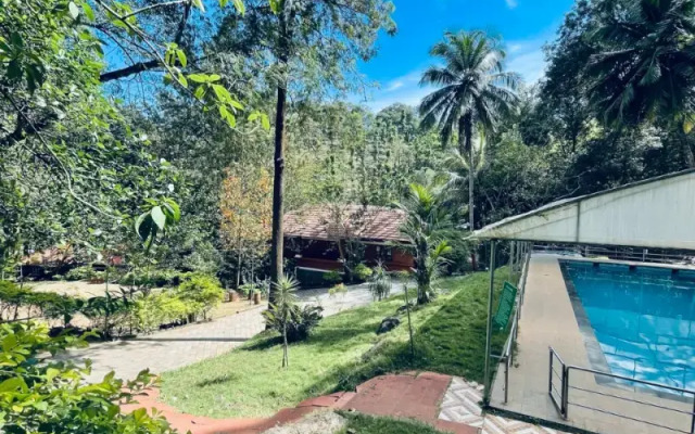 Treetop Resort