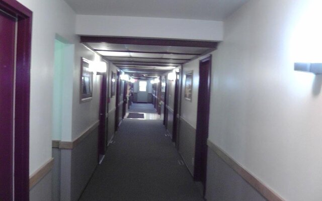 Motel 95 and Campground