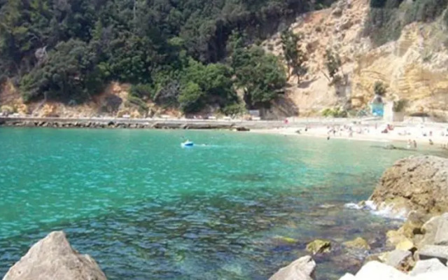 Appartamento Trebiano