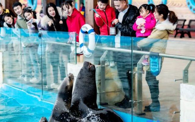 Shanghai Haichang Ocean Park Theme Resort Hotel