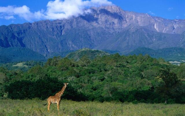 Elewana Arusha Coffee Lodge