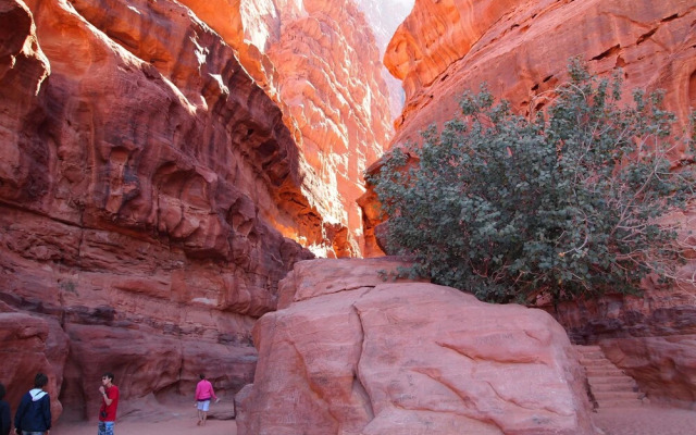 Wadi Rum Classic Camp