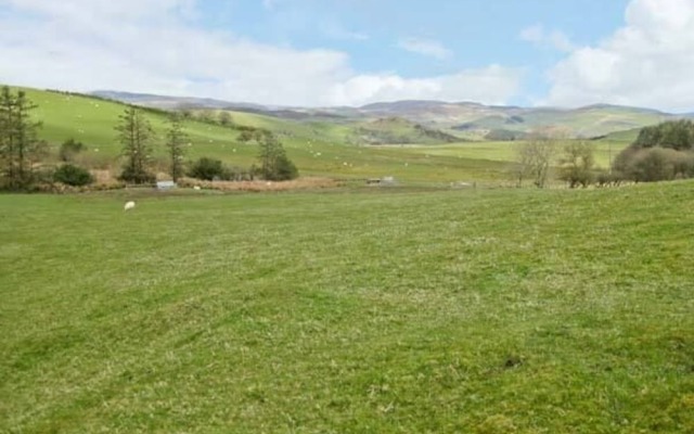 Plynlimon View