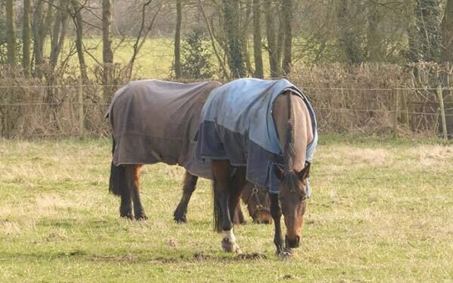 Folly Foot Barn