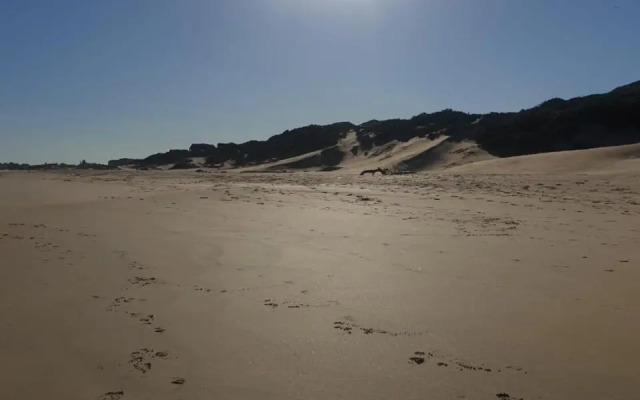 The Sparrow's Nest Beach-Front Self-catering