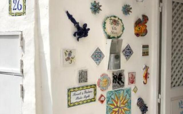 Villa Striano Capri - Guest House - Rooms Garden & Art