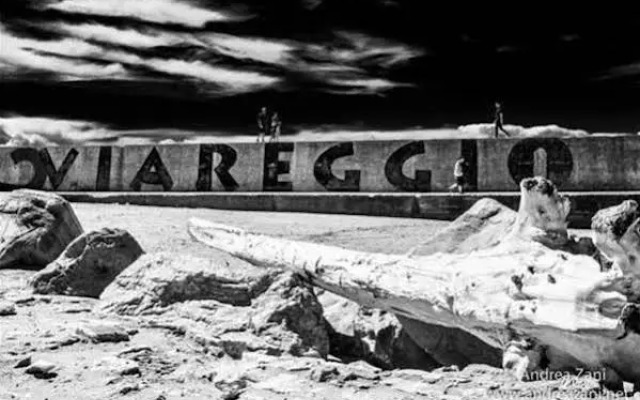Sol  Mare