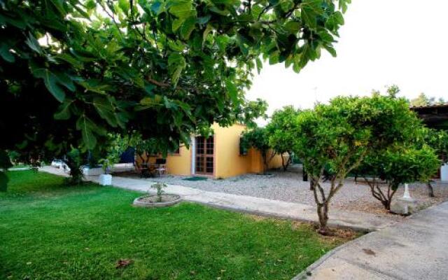 Casas El Camino