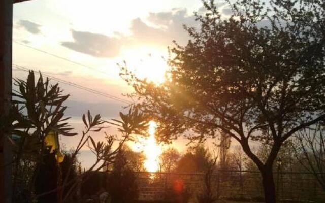 Vila Anastas